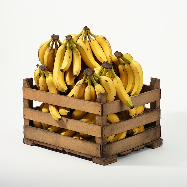 白のバナナの木箱