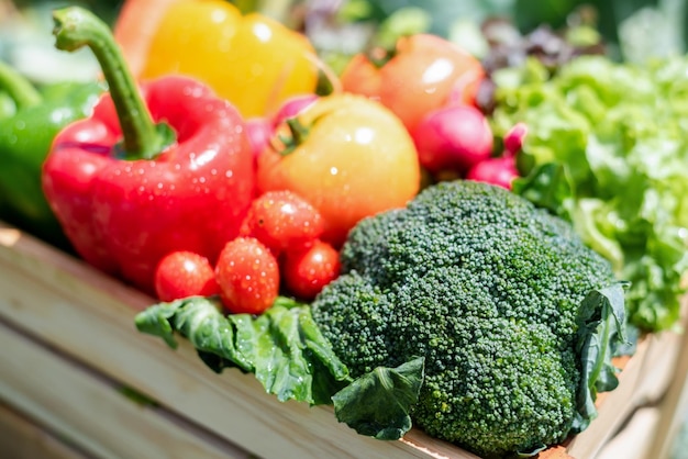 Crate filled with a large selection of healthy fresh organic fruits and vegetables shot