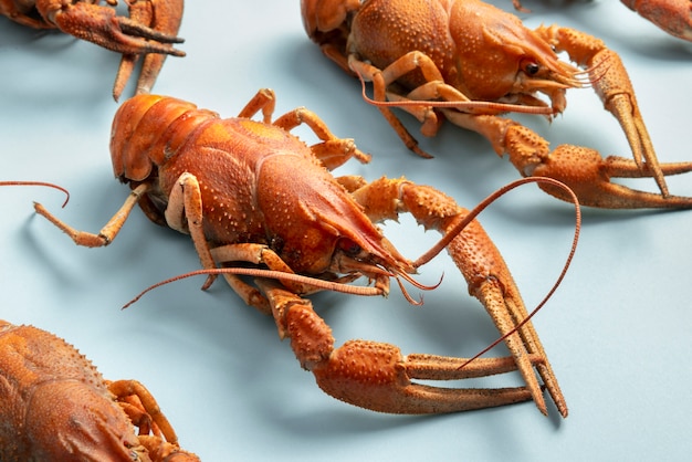 Crawfish on blue surface