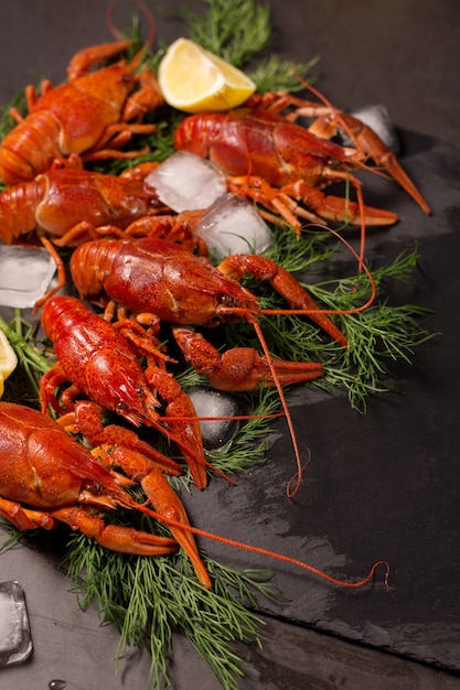 Crayfish boiled with dill spices and lemon. Dark moody still life.