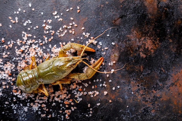 Crayfish Raw,Baby lobster.Summer food. Seafood.