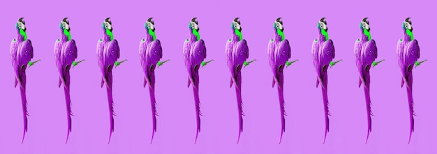 Photo crazy pop art colorful ultraviolet wallpaper with ara parrots