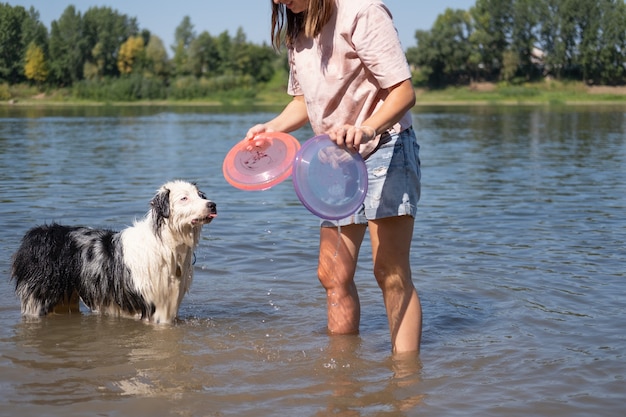 Crazy wet australian shepherd blue merle dog play with two flying saucer with woman near river, on sand, summer. Wait for playing. Have fun with pets on the beach. Travel with pets.