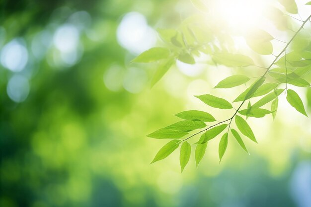 Create a blurred green leaves background