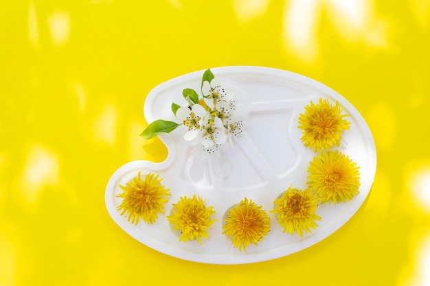 Creatief foto-idee met gele bloemen Wit plastic verfpalet met gele paardebloemen