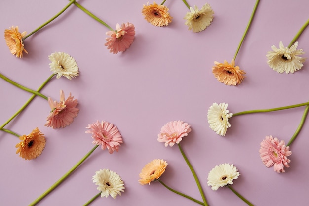 Creatief patroon van verschillende kleurrijke gerbera's op een roze papieren achtergrond. lente samenstelling. als ansichtkaart voor moederdag of 8 maart met kopieerruimte. plat leggen.