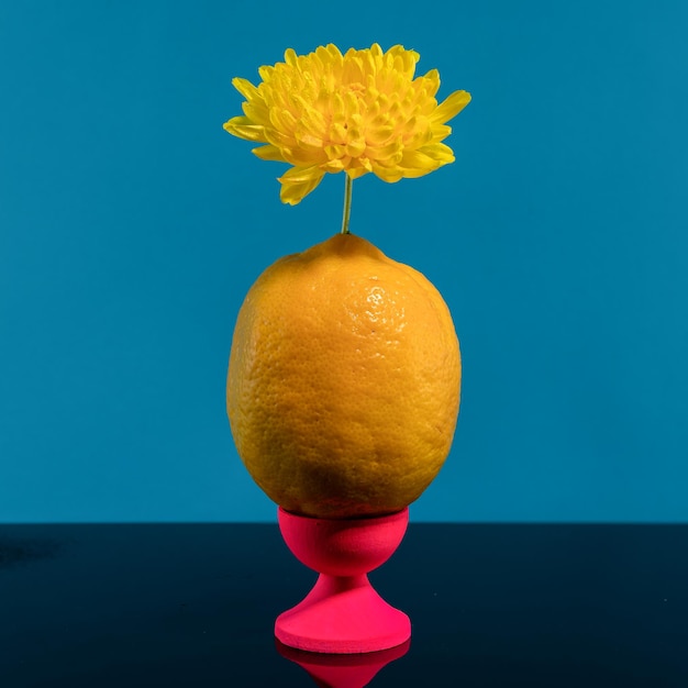 Creatief stilleven met citroen en gele bloem op een blauwe achtergrond