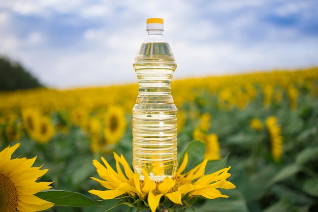 Creatieve foto van een fles gouden zonnebloemolie in een knop tegen een veld met bloeiende zonnebloemen in een zonnige kopieerruimte