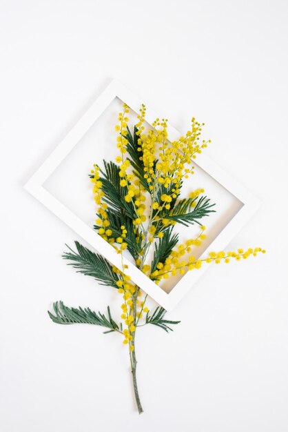 Foto creatieve groetekaartje voor moedersdag of pasen mimosa tak in een wit frame