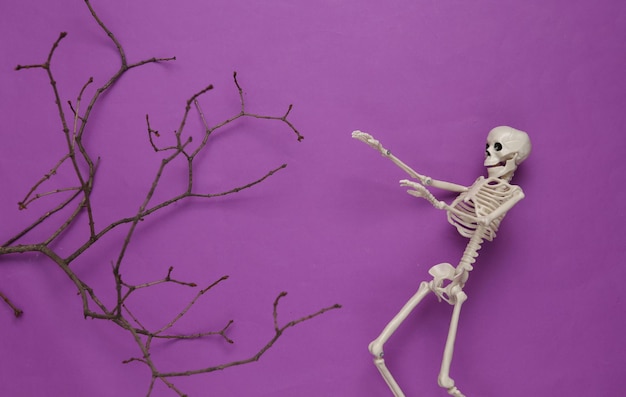 Creatieve Halloween-lay-out Boomtakskelet op paarse achtergrond Plat leggen