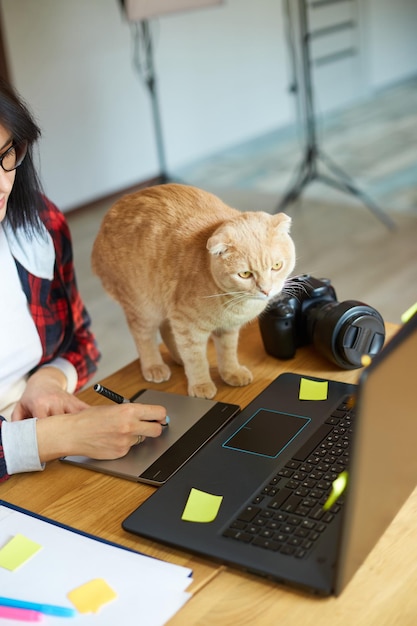 Creatieve vrouwelijke fotograaf met schattige kat met grafische tekentablet en styluspen