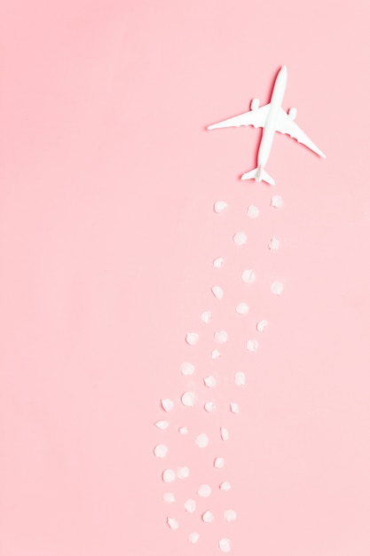 Creatieve zomer concept banner. Modelstuk speelgoed vliegtuig met bloembloemblaadjes op een roze achtergrond. Reisplanning