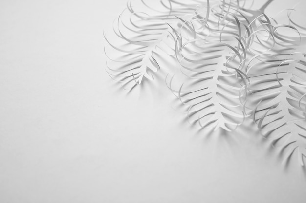 Photo creativ white paper backgound with paper leaves