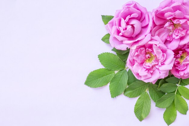 Creative arrangement of pink roses