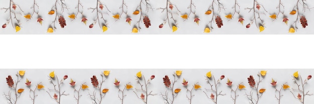 創造的な秋のバナー灰色の背景に洗濯はさみに色鮮やかな紅葉と木の枝トップ ビュー フラット レイアウト