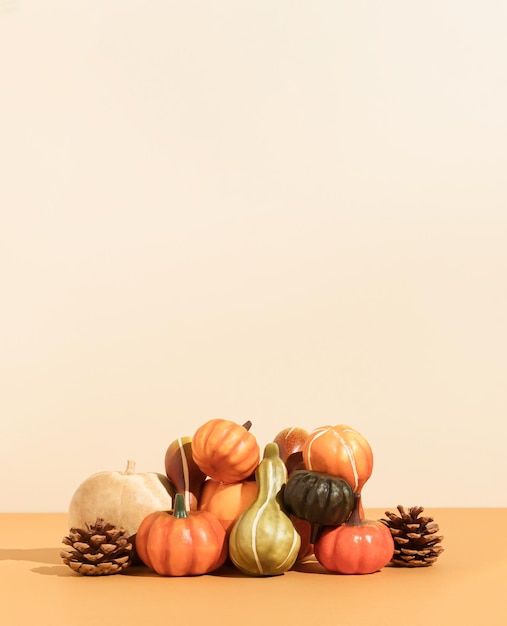 Creative autumn Halloween idea with pumpkins gourds and pine cones Seasonal concept with copy space