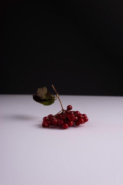 Creative autumn minimalistic still life of a red branch of viburnum berries on a black and white background.