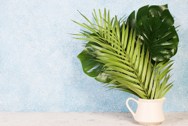 Creative background of tropical leaves. Trandi tropical leaves on a blue background