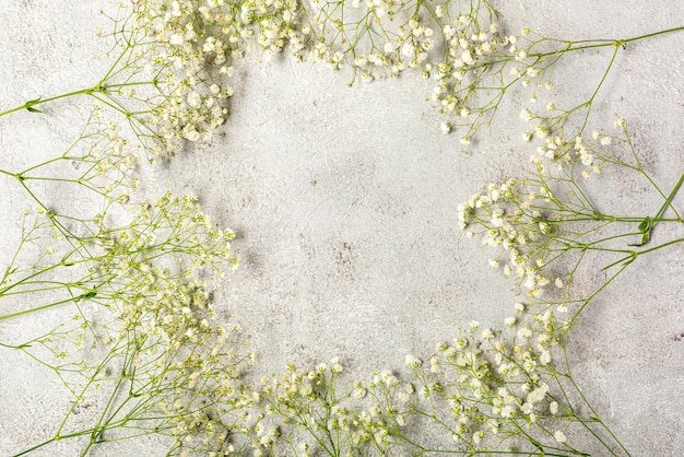 Foto stendardo creativo con fiore di respiro bianco fresco per bambini