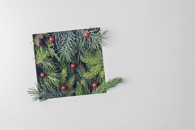 Photo creative christmas layout of spruce branches sticking out of a square slot