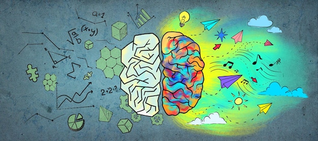 creative colorful business sketch on wall backdrop left and right human brain concept
