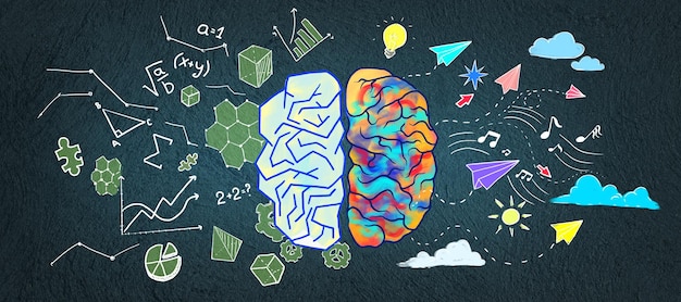 creative colorful business sketch on wall background left and right human brain concept