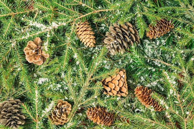 Creative composition of Christmas tree branches, cones. The theme of Christmas and New Year. Flat layout, top view.