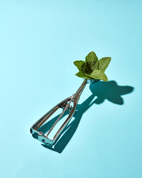 Creative composition from mint leaves in the metal spoon for ice cream