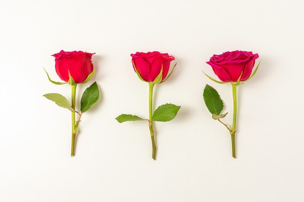 Creative composition of red rose flowers on white surface.