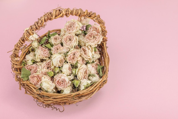 Creative composition with dry delicate roses in homemade wicker basket Greeting card pastel pink background