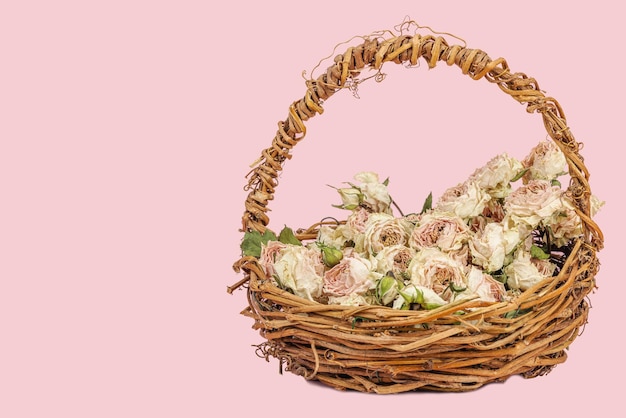 Creative composition with dry delicate roses in homemade wicker basket Greeting card pastel pink background