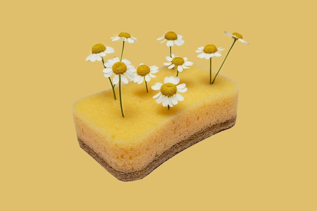 Creative concept of ecofriendly natural cleaning products on yellow minimal background with copy space Coconut cellulose sponge with chamomile flower Zero waste ecological save household