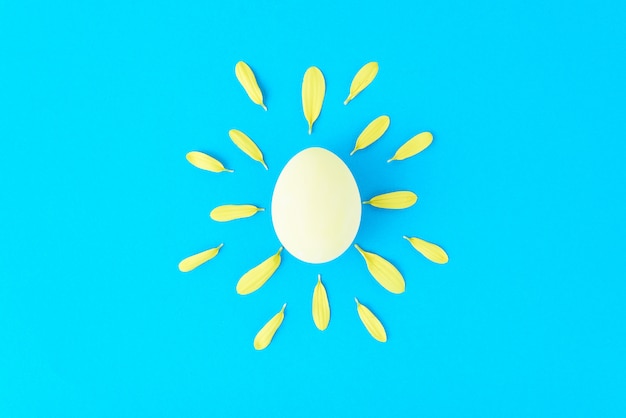 Creative concept made of chicken egg and flower petals like a sun on a blue background