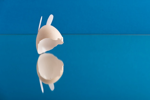 Creative egg shells with ears on blue background and mirror