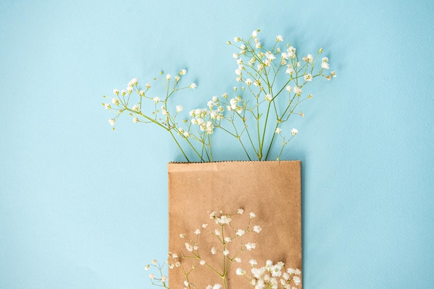 Creative flat desktop photo Blue background with gypsophile on top with empty space for text