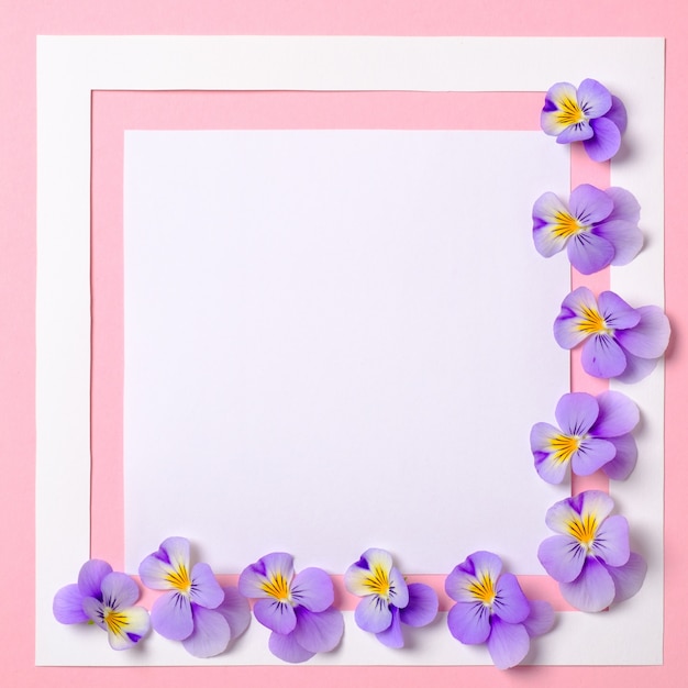 Creative flat lay composition: paper frame and blooming flowers petals