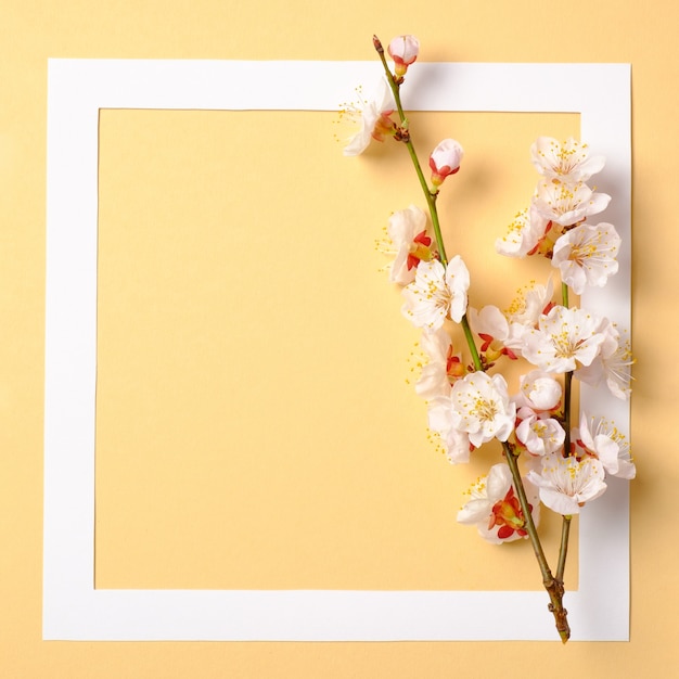 Photo creative flat lay composition: paper frame and blooming sakura branch