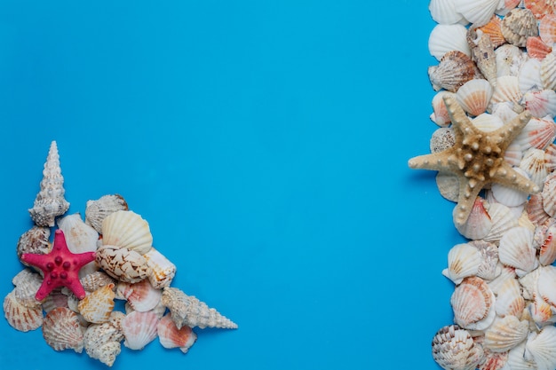Creative flat lay concept of summer travel vacations. Top view of seashells and starfish on turquoise blue background