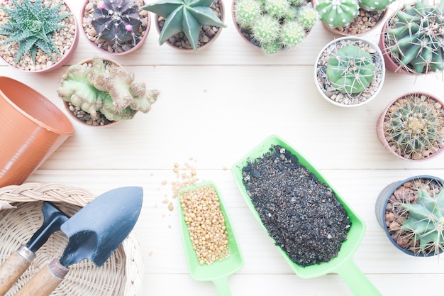 Creative flat lay gardening desk with Cactus plants 