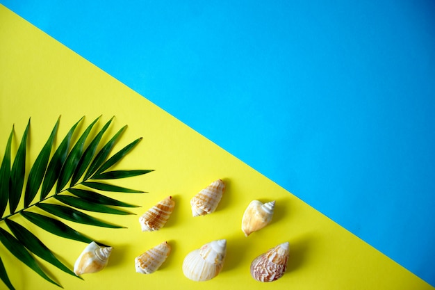 Фото Творческий плоский набор ракушек и пальмовых листьев с пространством для текста на синем и желтом фоне. концепция летних каникул. летний фон с копией пространства.