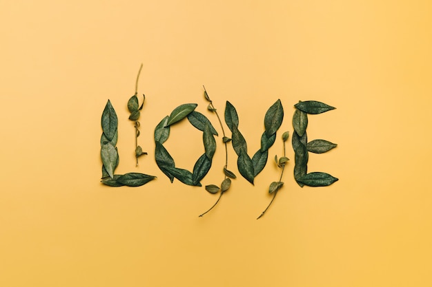 Piatto creativo laici di parola amore realizzato con foglie naturali. concetto di amore.