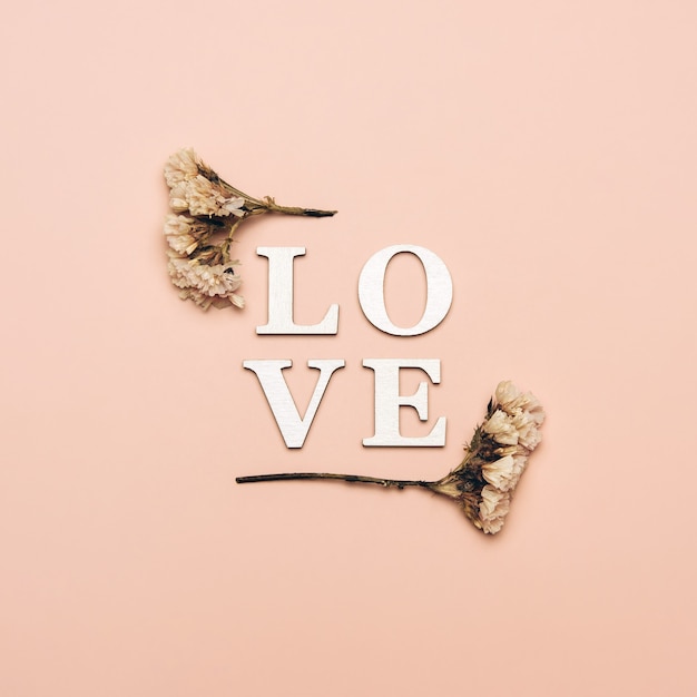 Photo creative flat lay of word love on soft color  space with natural plants.