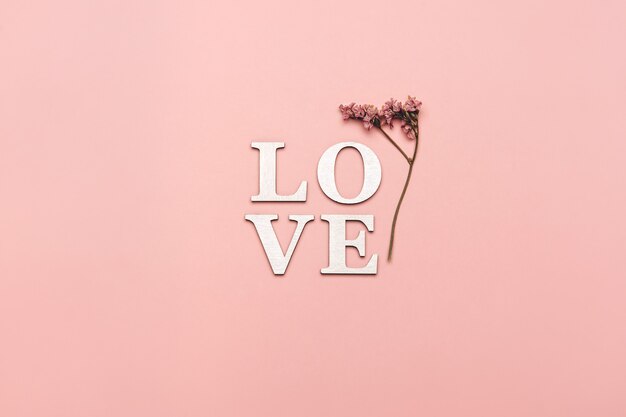 Creative flat lay of word love on soft color  space with natural plants.