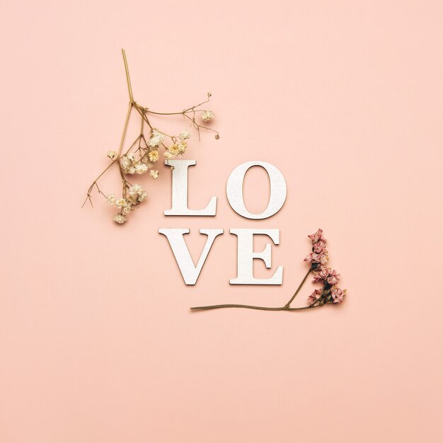 Creative flat lay of word love on soft color  space with natural plants.