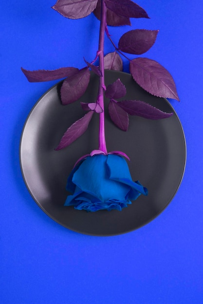 Creative flowers composition. Top view of on blue rose on the black plate on the blue background.