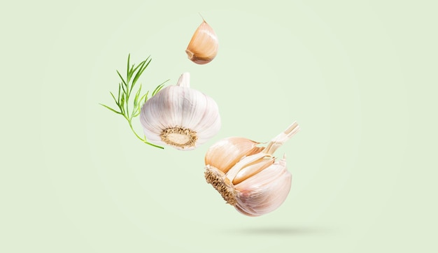 Creative food concept Minimalistic light green background with natural root vegetables Flying fresh organic garlic with green leaves dill Spicy seasoning for cooking Copy space Horizontal banner