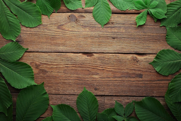 Creative frame border Wooden background with chestnut leaves frame