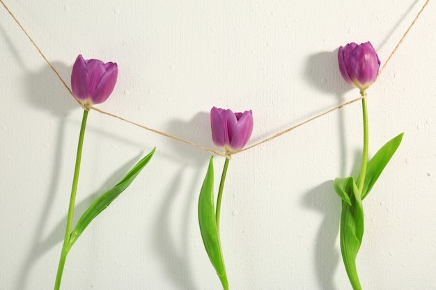 白い背景にライラックのチューリップと創造的な花輪