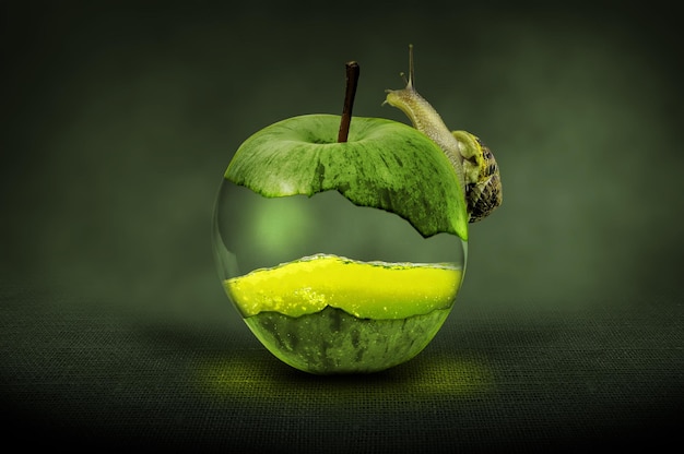 Photo creative green apple