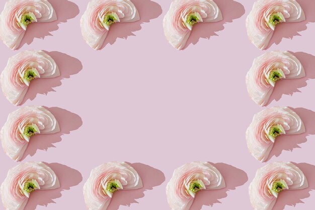 Creative half ranunculus flower pattern frame on a pink minimal background Floral botany wallpaper Many flower heads with petals in a row